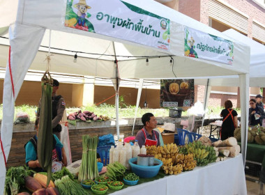 “รมช.เกษตร” ปักหมุดตลาดเกษตรกรเชียงราย หนุนบริโภคผลไม้ไทย ... พารามิเตอร์รูปภาพ 27